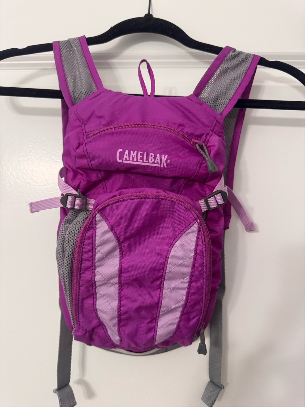 CamelBak Mini-M.U.L.E. Hydration Pack in Purple Cactus Flower/Sheer Lilac